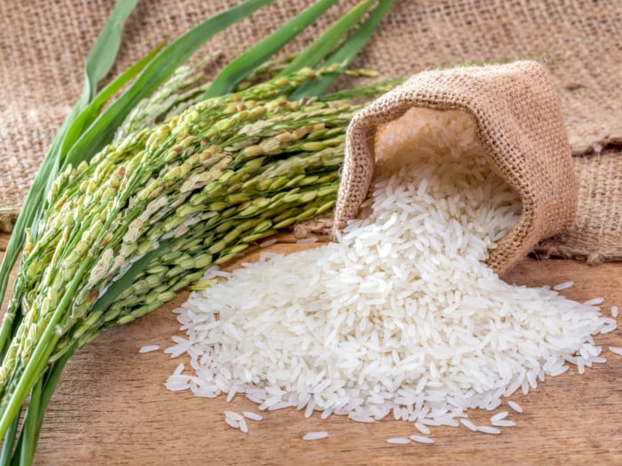 Rice Water Hair Growth Spray - Biotin Infused Hair Conditioner. Thickening, Moisturizing, Sprays with Aloe Vera, Tea Tree, Jojoba Seed, Argan. Leave in Mist For Dry, Frizzy, Damaged Hair